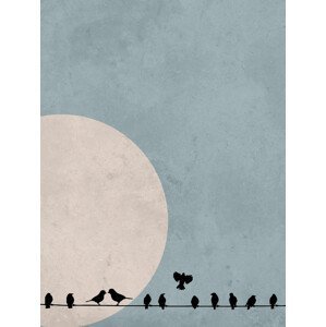 Ilustrace moonbird4, Finlay & Noa, (30 x 40 cm)
