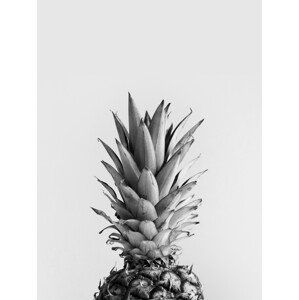 Ilustrace pineappleblackandwhite, Finlay & Noa, (30 x 40 cm)
