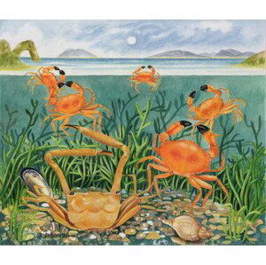 Watts, E.B. - Obrazová reprodukce Crabs in the Ocean, 1997, (40 x 35 cm)