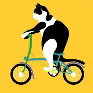 Huntley, Claire - Obrazová reprodukce Cat on a Brompton Bike, (40 x 40 cm)