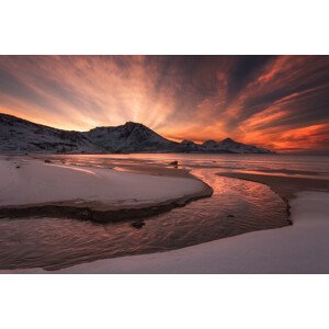 Umělecká fotografie Golden Sunset, Jaroslav Zakravsky, (40 x 26.7 cm)