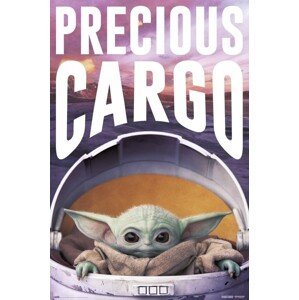 Plakát, Obraz - Star Wars: The Mandalorian - Precious Cargo, (61 x 91.5 cm)