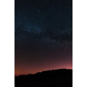 Umělecká fotografie Night photos of the Milky Way with stars and trees., Javier Pardina, (26.7 x 40 cm)