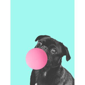 Ilustrace Bubblegum dog, Finlay & Noa, (30 x 40 cm)