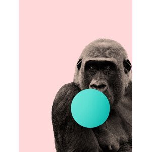 Ilustrace Bubblegum gorilla, Finlay & Noa, (30 x 40 cm)