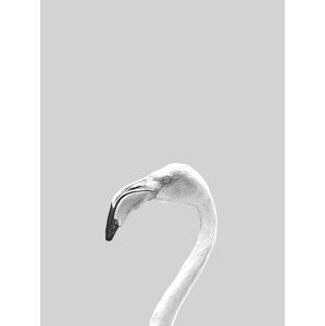 Ilustrace Grey bird, Finlay & Noa, (30 x 40 cm)