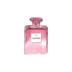 Ilustrace Chanel No.5, Finlay & Noa, (30 x 40 cm)