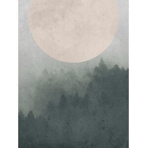 Ilustrace Moonbird, Finlay & Noa, (30 x 40 cm)
