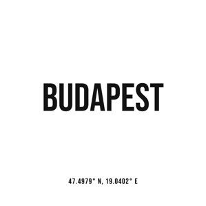 Ilustrace Budapest simple coordinates, Finlay & Noa, (30 x 40 cm)