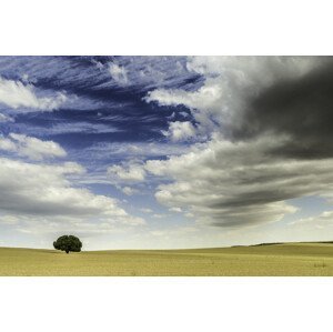 Umělecká fotografie Incoming storm clouds, Javier Pardina, (40 x 26.7 cm)
