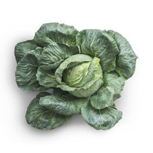 Umělecká fotografie Green Vegetable, 1x, (40 x 35 cm)