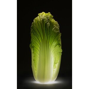 Umělecká fotografie Chinese cabbage, Wieteke de Kogel, (24.6 x 40 cm)