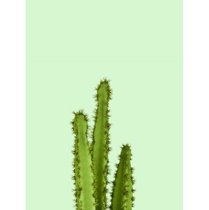 Ilustrace cactus 8, Finlay & Noa, (30 x 40 cm)