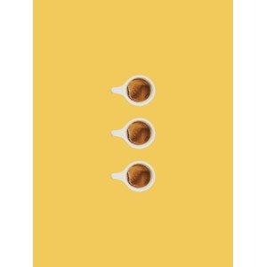 Ilustrace coffeetimes three, Finlay & Noa, (30 x 40 cm)