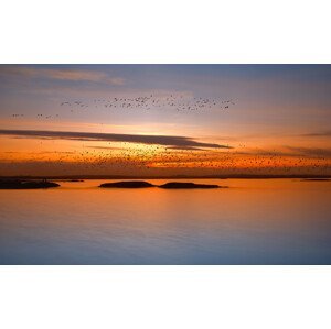 Umělecká fotografie by sunset, Piotr Krol (Bax), (40 x 24.6 cm)