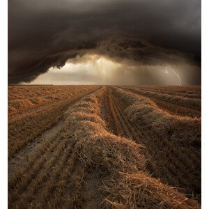 Umělecká fotografie Brown storm, Nicolas Schumacher, (35 x 40 cm)