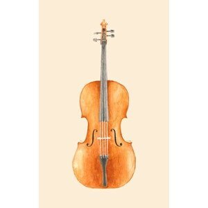 Bodart, Florent - Obrazová reprodukce Cello, (24.6 x 40 cm)