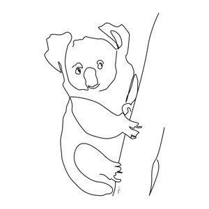 Ilustrace Koala, Hugo Jurčík, (40 x 40 cm)