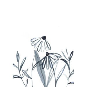 Ilustrace Echinacea meadow, Laura Irwin, (30 x 40 cm)