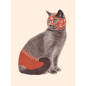Bodart, Florent - Obrazová reprodukce Cat Wrestler, (30 x 40 cm)