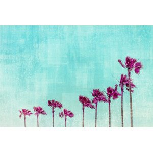 Umělecká fotografie California Vibes In Psychadelic Colors, Melanie Viola, (40 x 26.7 cm)