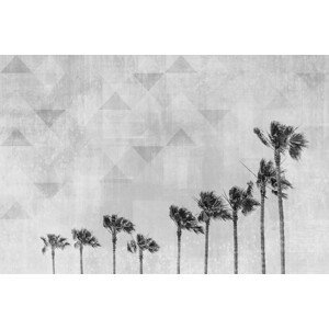 Umělecká fotografie California Vibes In Black & White, Melanie Viola, (40 x 26.7 cm)