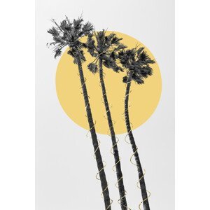 Umělecká fotografie Palm Trees In The Sun, Melanie Viola, (26.7 x 40 cm)