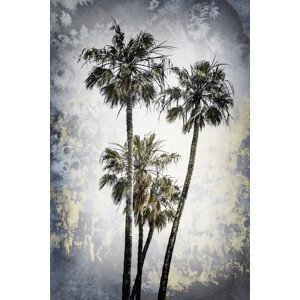 Umělecká fotografie MODERN ART Lovely Palm Trees, Melanie Viola, (26.7 x 40 cm)
