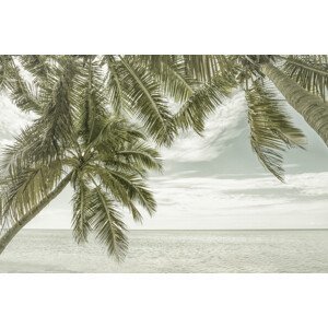 Umělecká fotografie FLORIDA Vintage Oceanview, Melanie Viola, (40 x 26.7 cm)