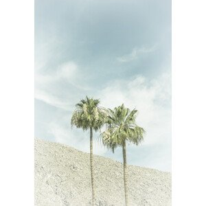 Umělecká fotografie Palm Trees in the desert | Vintage, Melanie Viola, (26.7 x 40 cm)