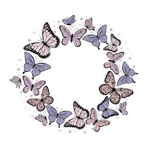 Ilustrace Butterfly wreath, Martina Pavlova, (40 x 40 cm)