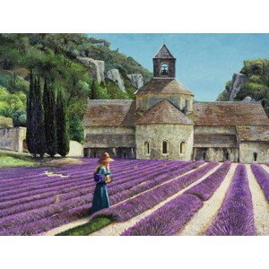 Neal, Trevor - Obrazová reprodukce Lavender Picker, Abbaye Senanque, Provence, (40 x 30 cm)