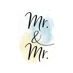 Ilustrace Mr. & Mr., Melanie Viola, (26.7 x 40 cm)