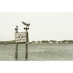 Umělecká fotografie Coastal View from Fort Myers Beach | Vintage, Melanie Viola, (40 x 26.7 cm)