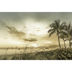 Umělecká fotografie BONITA BEACH Sunset | Vintage, Melanie Viola, (40 x 26.7 cm)