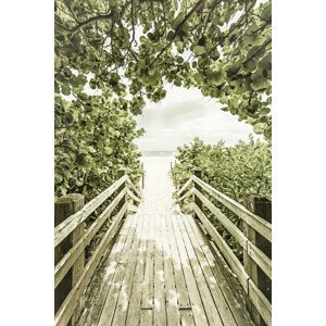 Umělecká fotografie Bridge to the beach with mangroves | Vintage, Melanie Viola, (26.7 x 40 cm)