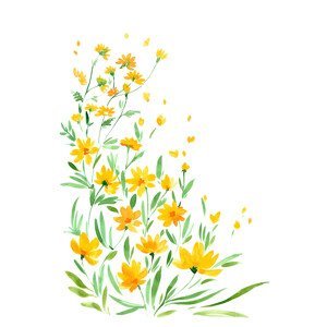 Ilustrace Yellow watercolor wildflowers, Blursbyai, (26.7 x 40 cm)