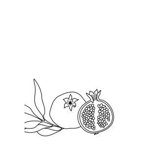 Ilustrace Pomegranate line art, Blursbyai, (26.7 x 40 cm)