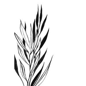 Ilustrace Leaves line art, Blursbyai, (26.7 x 40 cm)