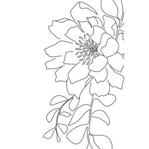Ilustrace Floral line art, Blursbyai, (26.7 x 40 cm)