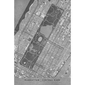 Mapa Map of Manhattan Central Park in gray vintage style, Blursbyai, (26.7 x 40 cm)