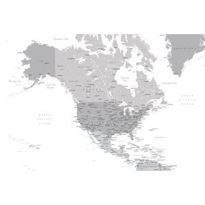 Mapa Map of North America in grayscale, Blursbyai, (40 x 26.7 cm)