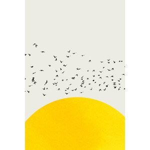 Ilustrace A Thousand Birds, Kubistika, (26.7 x 40 cm)