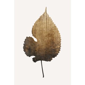 Ilustrace Golden Leaf, Kubistika, (26.7 x 40 cm)