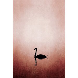 Ilustrace Swan Lake, Kubistika, (26.7 x 40 cm)
