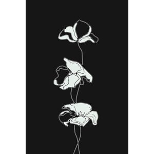 Ilustrace blackflowers, MadKat, (26.7 x 40 cm)