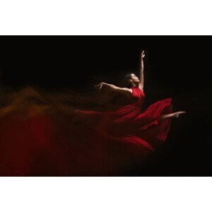 Umělecká fotografie Flow of Dance, Rob Li, (40 x 26.7 cm)