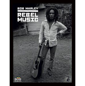 Obraz na zeď - Bob Marley - Rebel Music