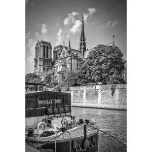 Ilustrace PARIS Cathedral Notre-Dame | monochrome, Melanie Viola, (26.7 x 40 cm)