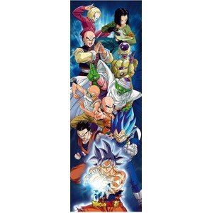 Plakát, Obraz - Dragon Ball Super - Group, (53 x 158 cm)